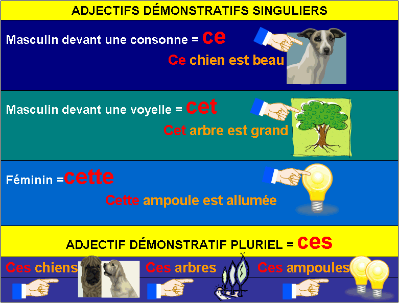 demonstrative-adjectives-french
