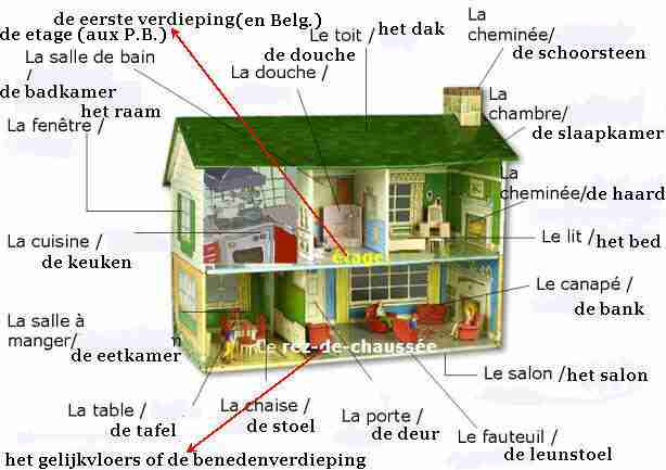 Home  Dutch