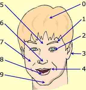 The face-anglais