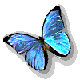 16173.gif