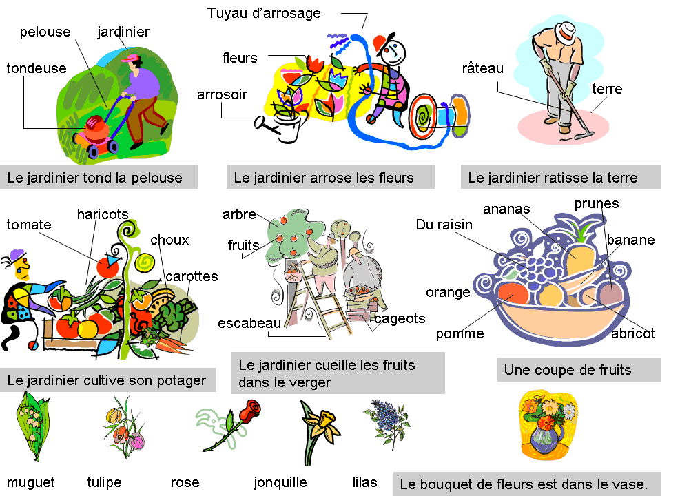 W ogrodzie - słownictwo 2 - Francuski przy kawie