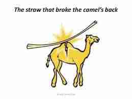 Résultat de recherche d'images pour "it's the last straw that breaks the camel's back"