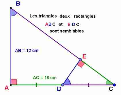 https://www.anglaisfacile.com/cgi2/myexam/images2/88861.jpg