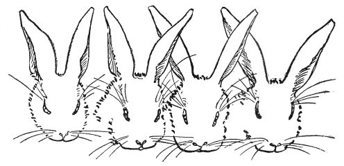 Illustration Illustration