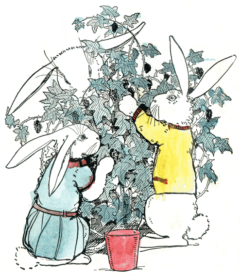 Illustration Illustration