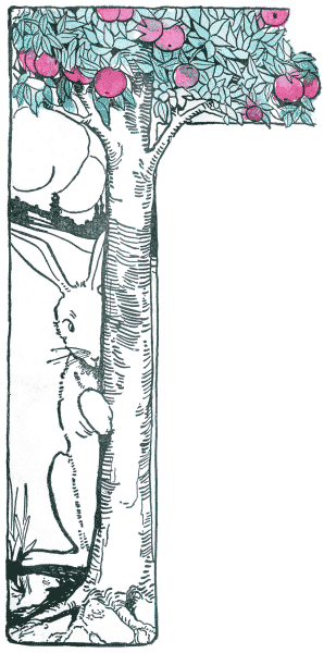 Illustration Illustration