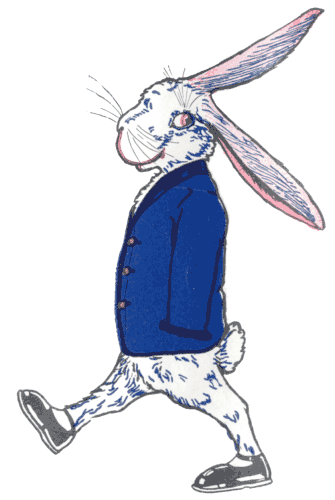 Illustration Illustration