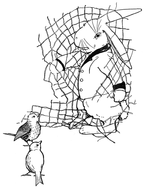 Illustration Illustration